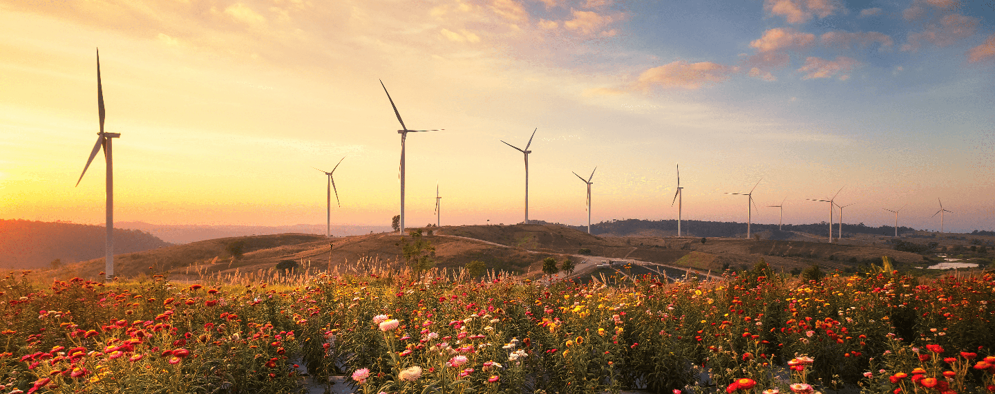 Engery wind mills on a rolling hillside during sunset