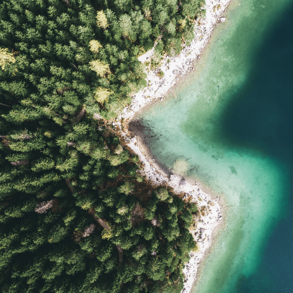 Arial view of shoreline against a forest 