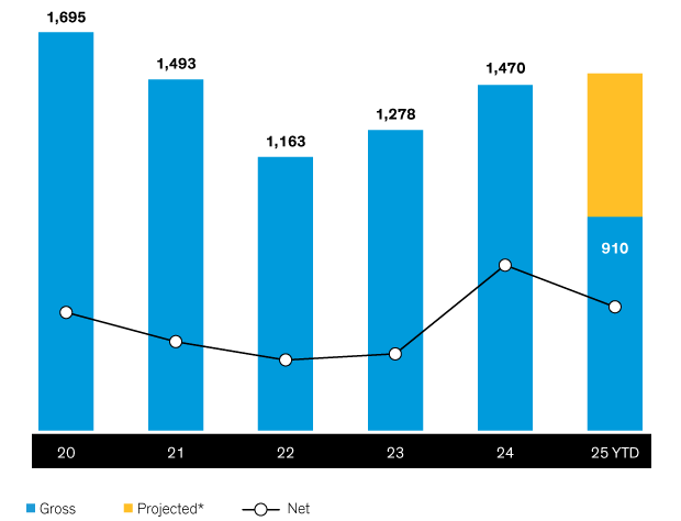 Bar chart with time on the X-axis (2020–2025), financial values on Y-axis; bars for gross and projected, line for net values.