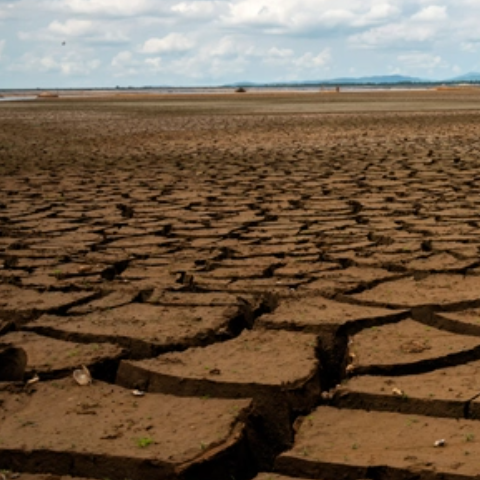 Desert landscape of dry, cracking earth