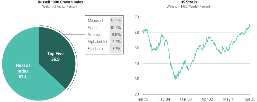 Pie chart compares proportion of top five stocks within Russell 1000 Growth Index; line graph plots US stocks over 2020.
