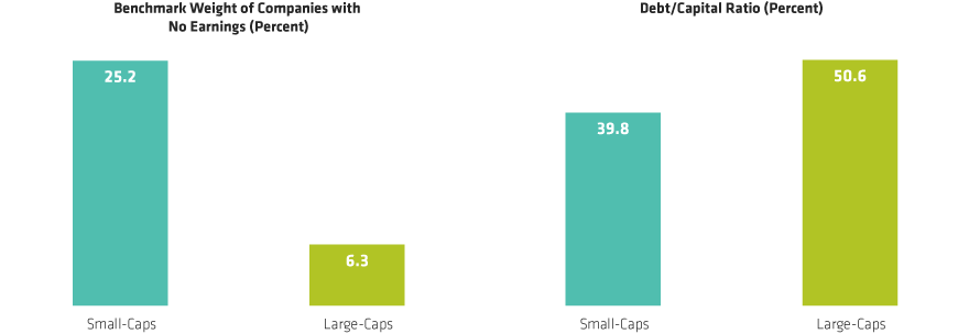 Small-Caps Arent’s As Vulnerable as Perceived