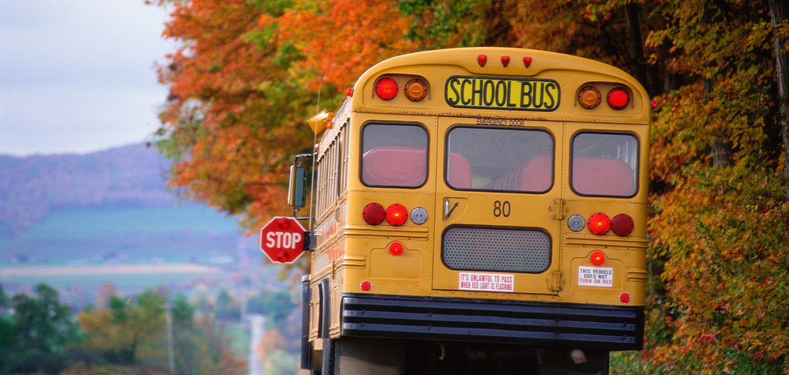  A lone school bus, brake lights aglow, pauses on a country road, surrounded by the orange and red colors of trees in autumn.