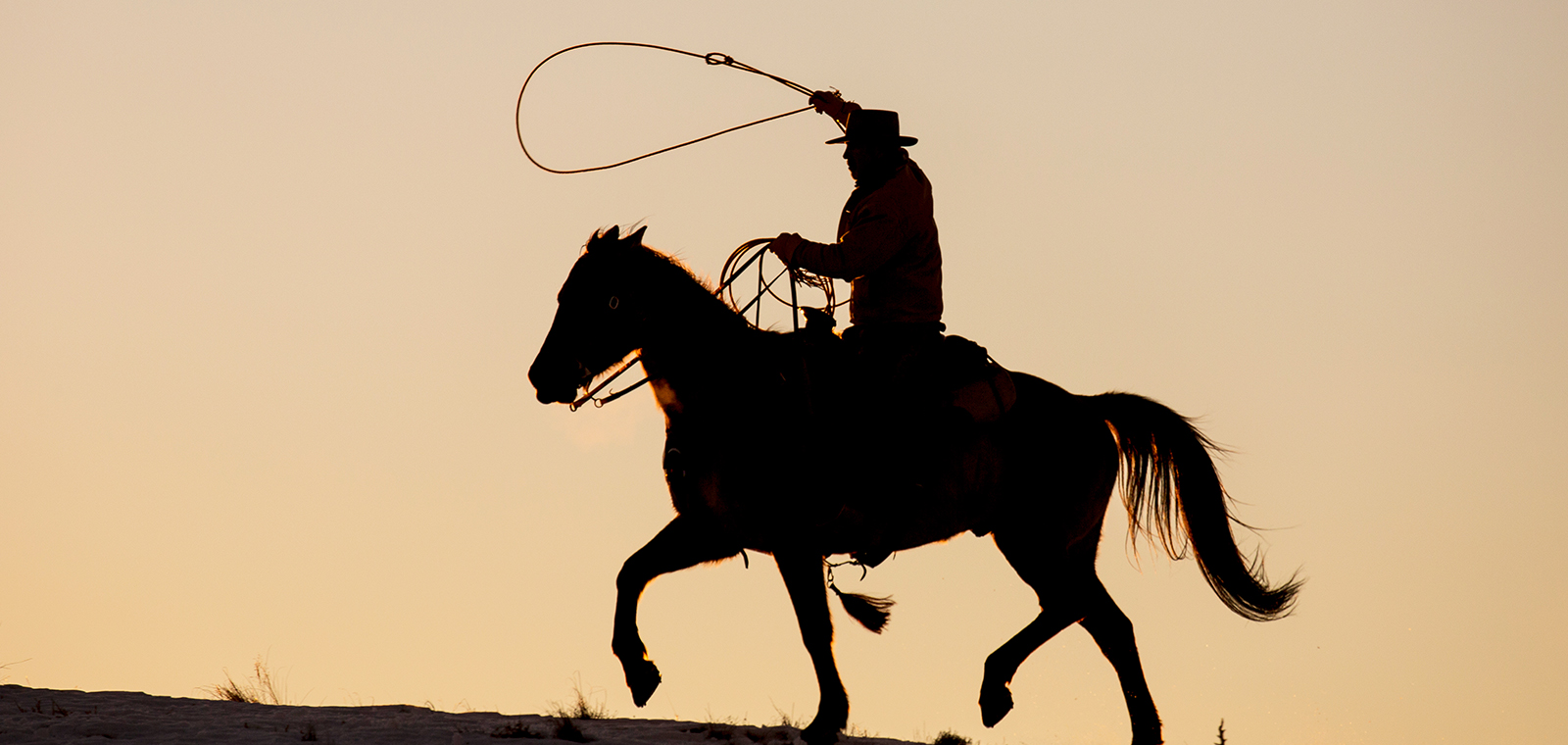 A lone western horseman is silhouetted by a setting sun as he swings a rope lasso overhead.  