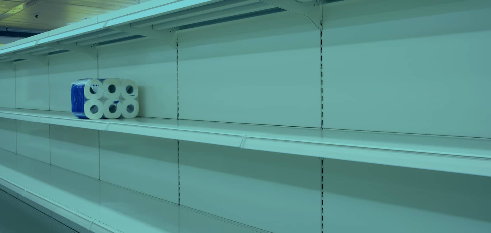 Where Did All the Toilet Paper Go? AB