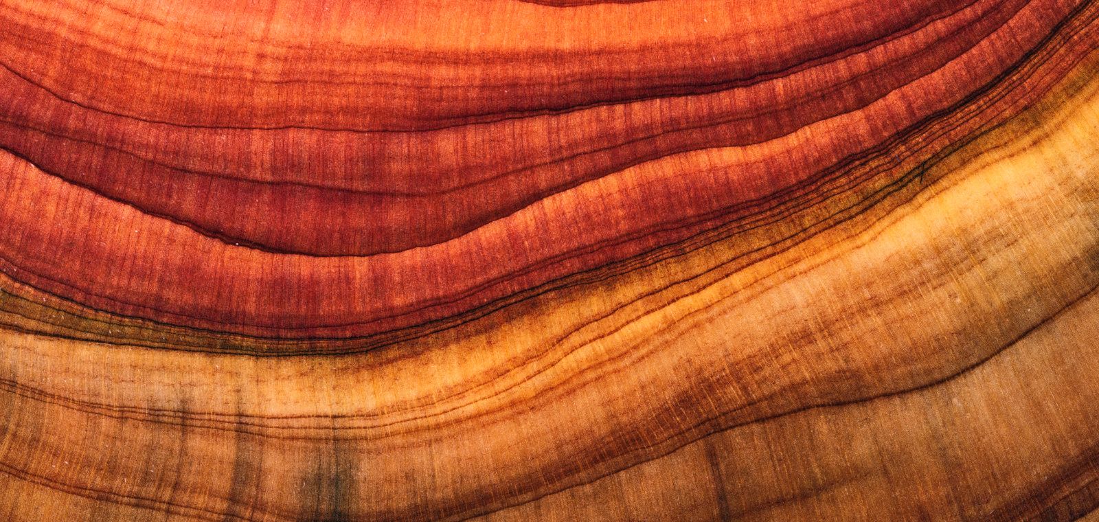Striations in a cross section of rock bend downward and then slope upward gradually.