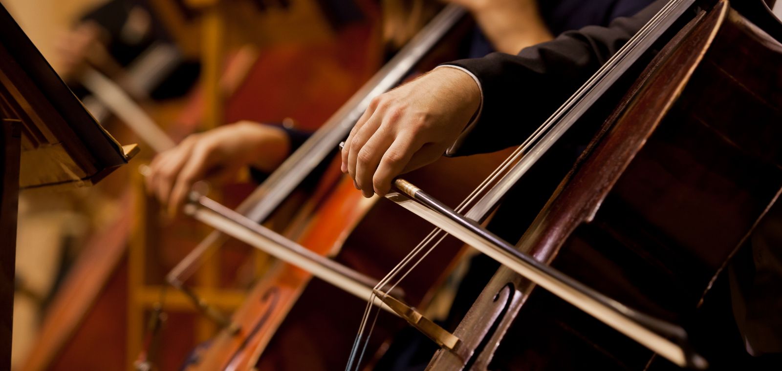 A close up of two cello players pulling their bows across the strings of their instruments in harmony. 