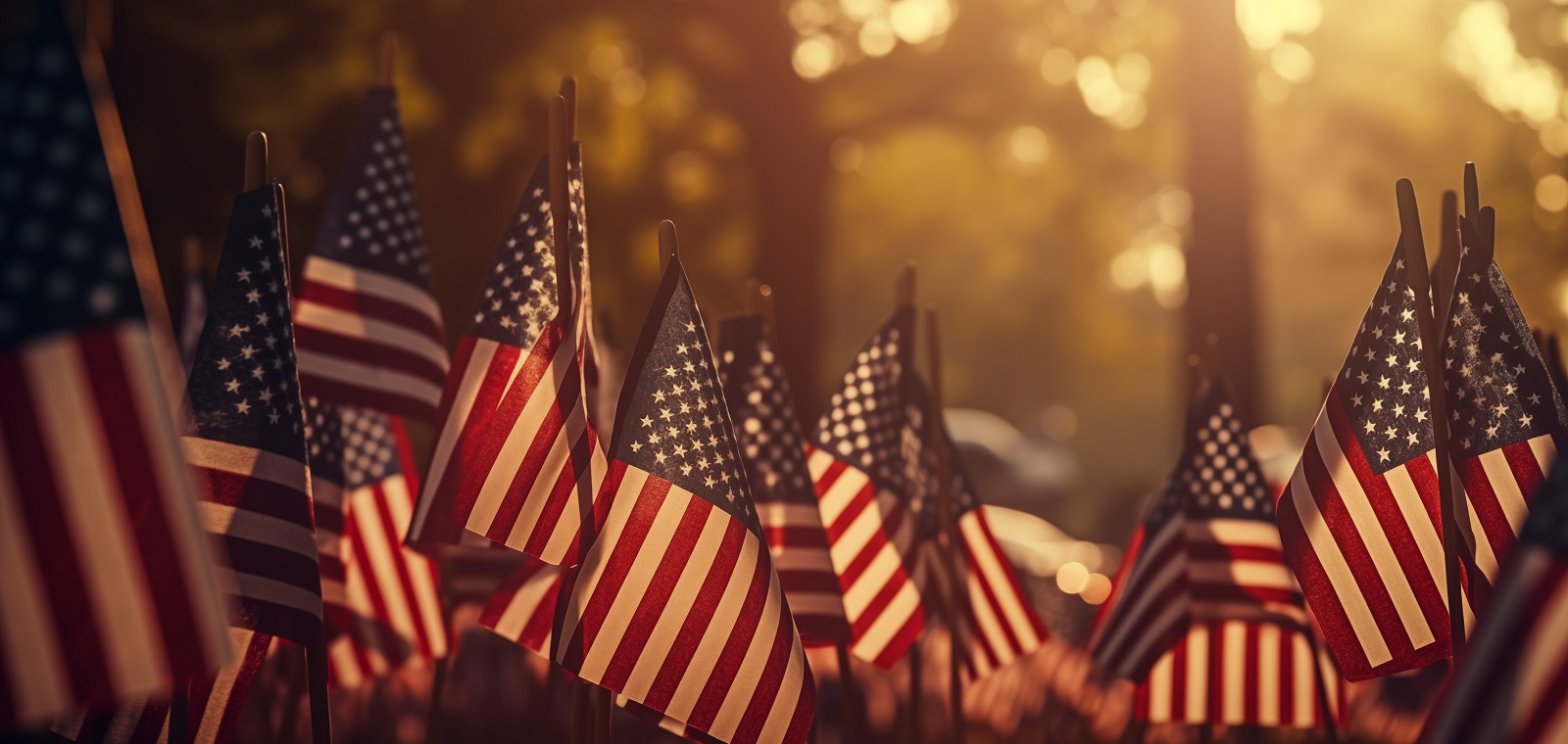 A solemn row of flags fluttering over the resting places of honored veterans on Memorial Day.