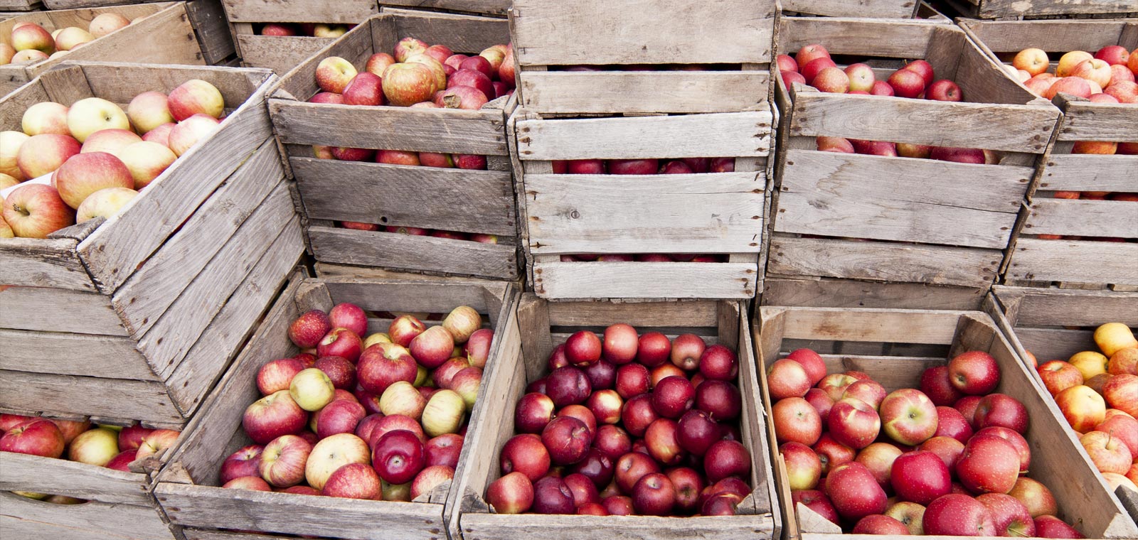 Midyear Outlook What a Trade War Could Mean for the Bond Markets, and