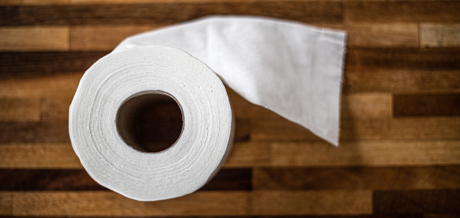 Why Should We Remember the Year of the Missing Toilet Paper?