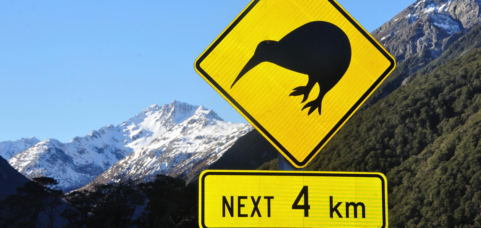 Is New Zealand the Kiwi in Populism’s Coal Mine?